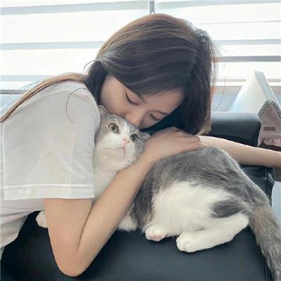 内战圣伯纳犬