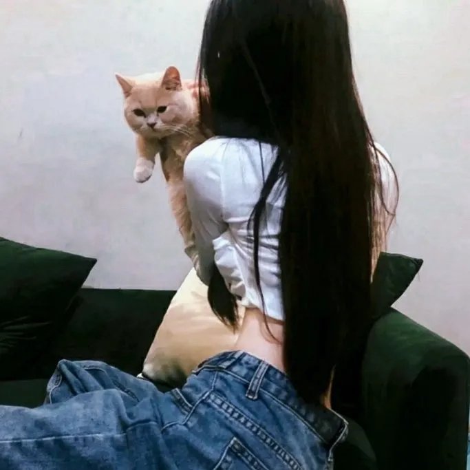 校园秘密档案
